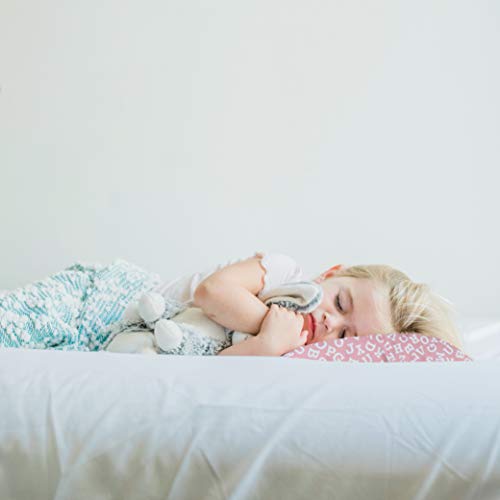 Little Sleepy Head Youth Pillowcase 16x22 Pink Alphabet
