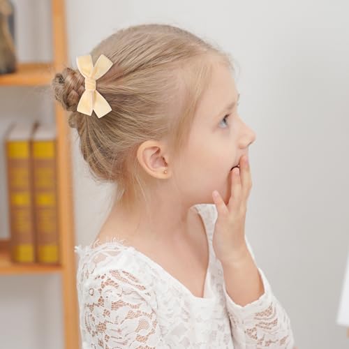 20PCS Velvet Hair Bow Clips for Girls