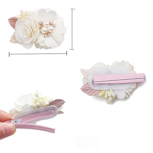 Flower Hair Clips for Baby Girls 6pcs Set