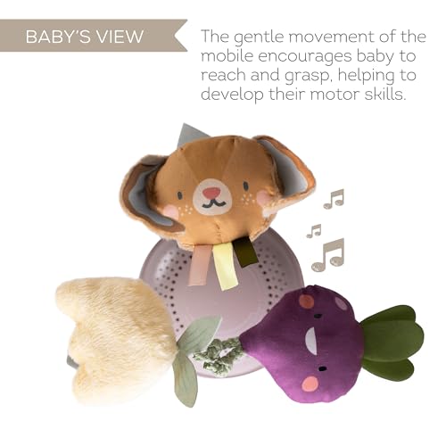 Taf Toys Garden Musical Mobile for Crib with Classical Music