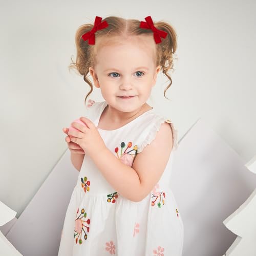 20PCS Velvet Hair Bow Clips for Girls
