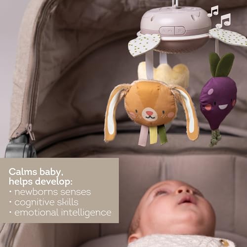 Taf Toys Garden Musical Mobile for Crib with Classical Music