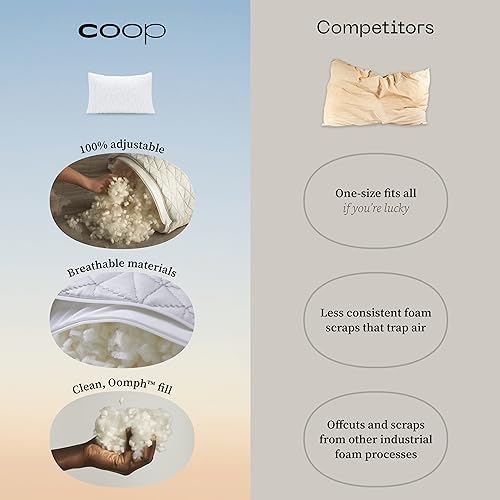 Coop Toddler Pillow with Waterproof Protector