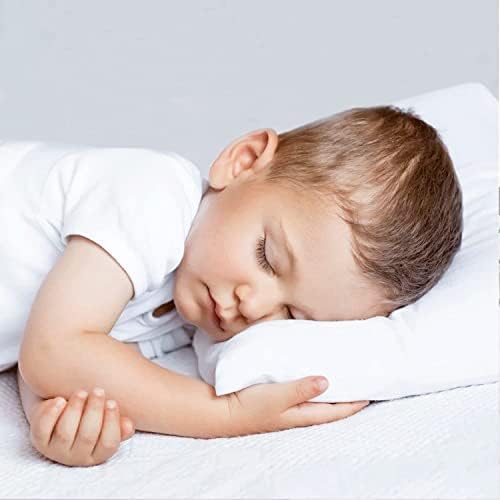 Toddler Travel Pillowcase Set of 2 12x16 Plum Solid