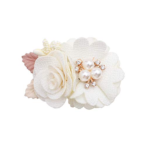 Flower Hair Clips for Baby Girls 6pcs Set