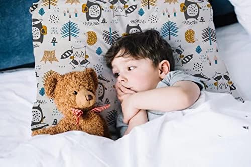 Aisawate Travel Pillow Case Cover Set for Kids