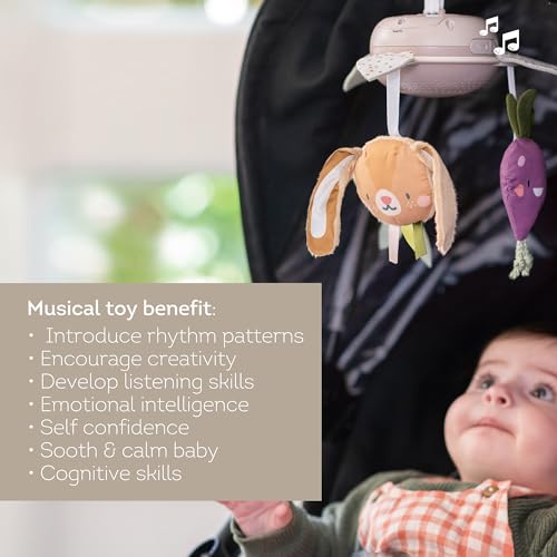Taf Toys Garden Musical Mobile for Crib with Classical Music