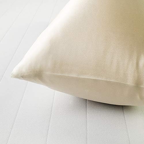 Silky Satin Toddler Pillowcases Set of 2 13x18 Champagne 1
