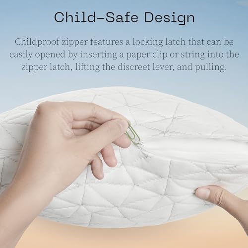 Coop Toddler Pillow with Waterproof Protector