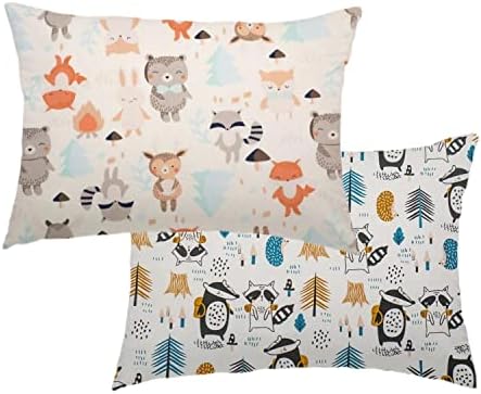 Aisawate Travel Pillow Case Cover Set for Kids