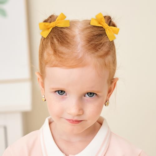 20PCS Velvet Hair Bow Clips for Girls