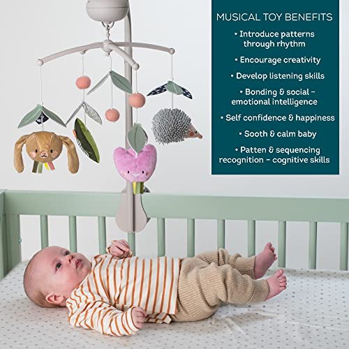 Taf Toys Musical Crib Mobile with Lights and Music 1