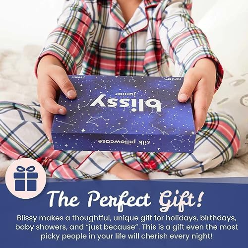 Blissy Toddler Silk Pillowcase - 22 Momme 6A Grade Mulberry Silk - Night Sky Design