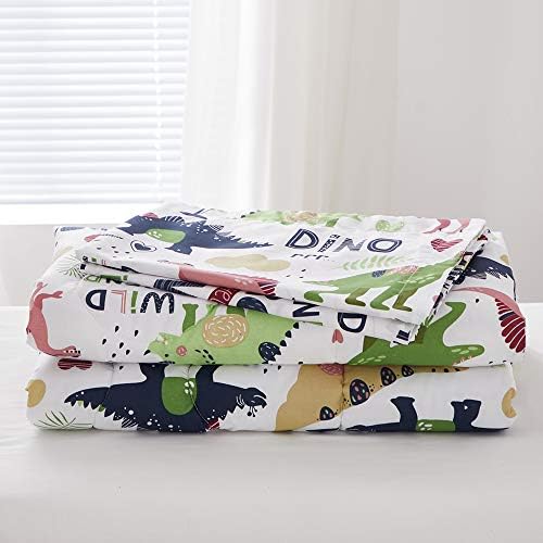 Joyreap 4 Piece Toddler Bedding Set Dinosaur Theme