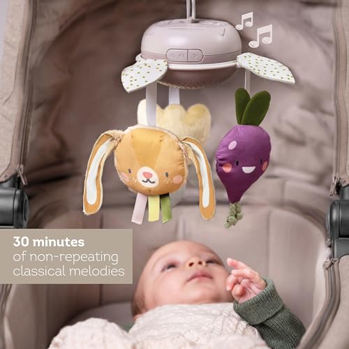 Taf Toys Garden Musical Mobile for Crib with Classical Music