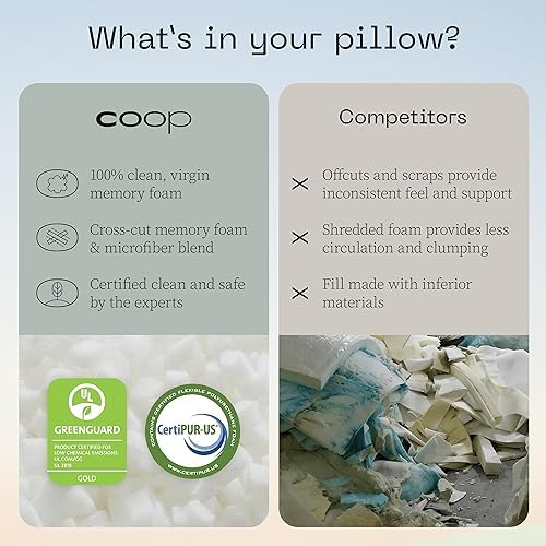 Coop Toddler Pillow with Waterproof Protector