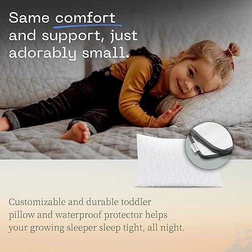 Coop Toddler Pillow with Waterproof Protector