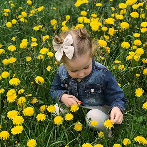 Baily Linen Bow Hair Clips for Girls and Women